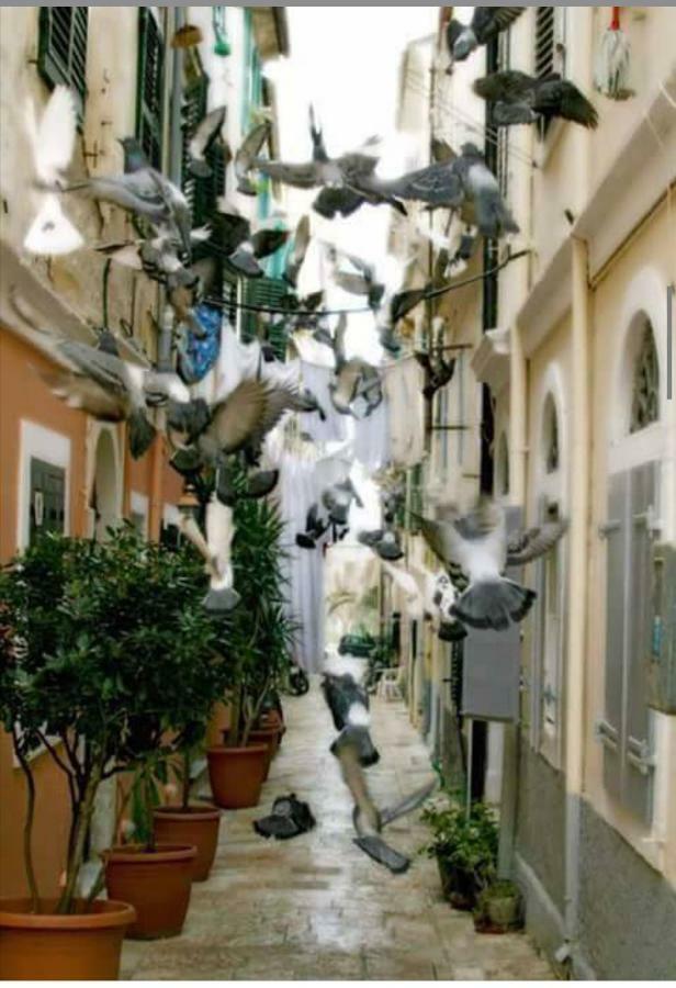 Roof Garden House Corfu (city) Exterior foto